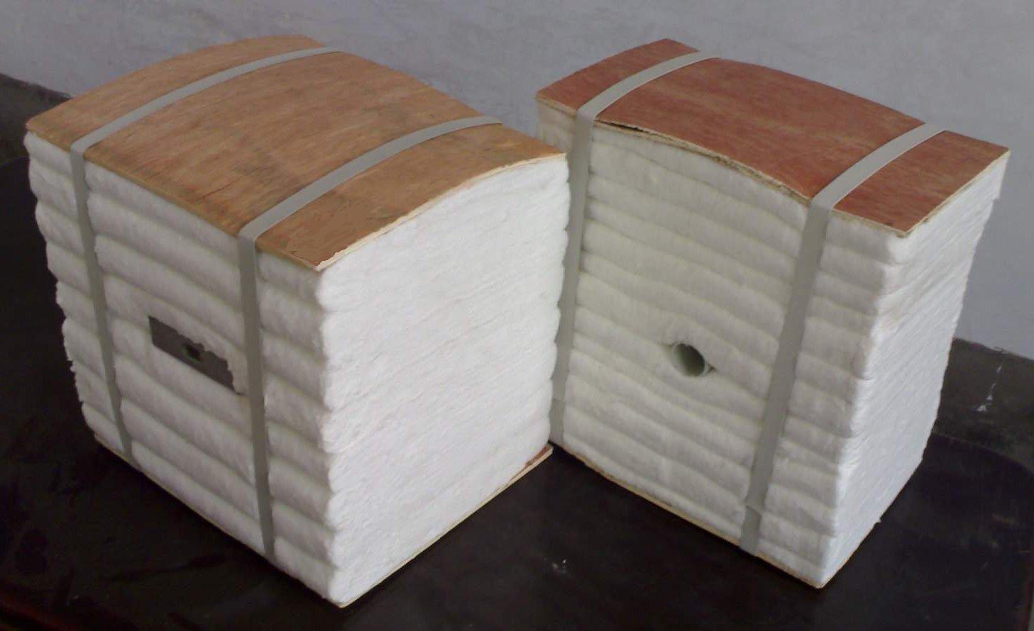 Ceramic Fiber Module.jpg